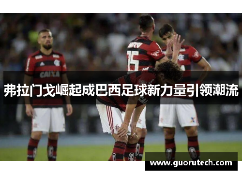 弗拉门戈崛起成巴西足球新力量引领潮流