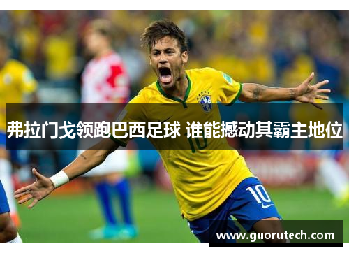 弗拉门戈领跑巴西足球 谁能撼动其霸主地位