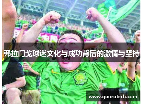 弗拉门戈球迷文化与成功背后的激情与坚持